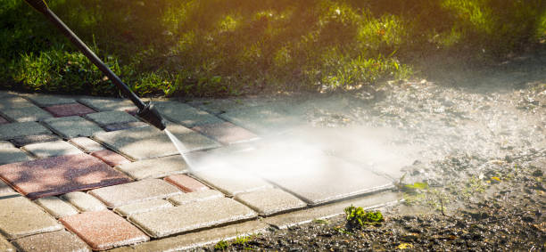 Best Animal Enclosure Cleaning  in Northridge, OH